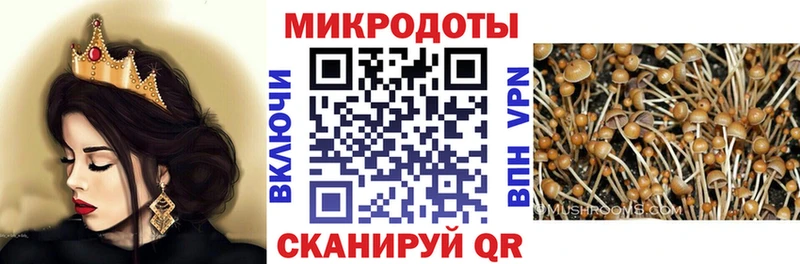 Галлюциногенные грибы ЛСД  Купить  Ясный 