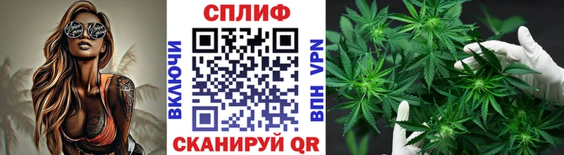 Канабис SATIVA & INDICA  Купить где  Ясный 